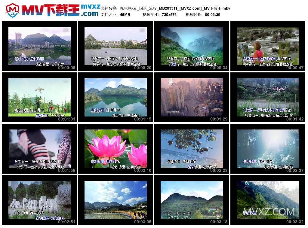 张生艳-夏_国语_流行_MB203311